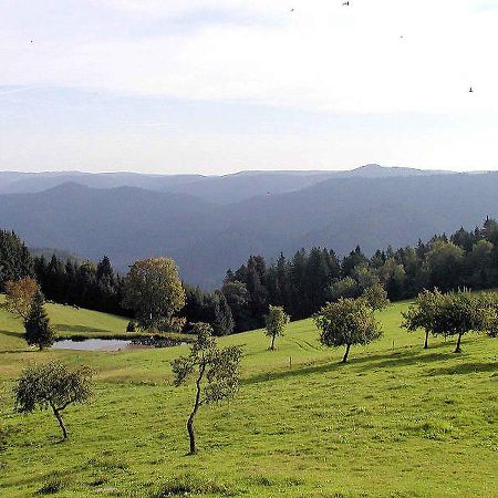 Schanzenberghof Хорнберг Екстериор снимка