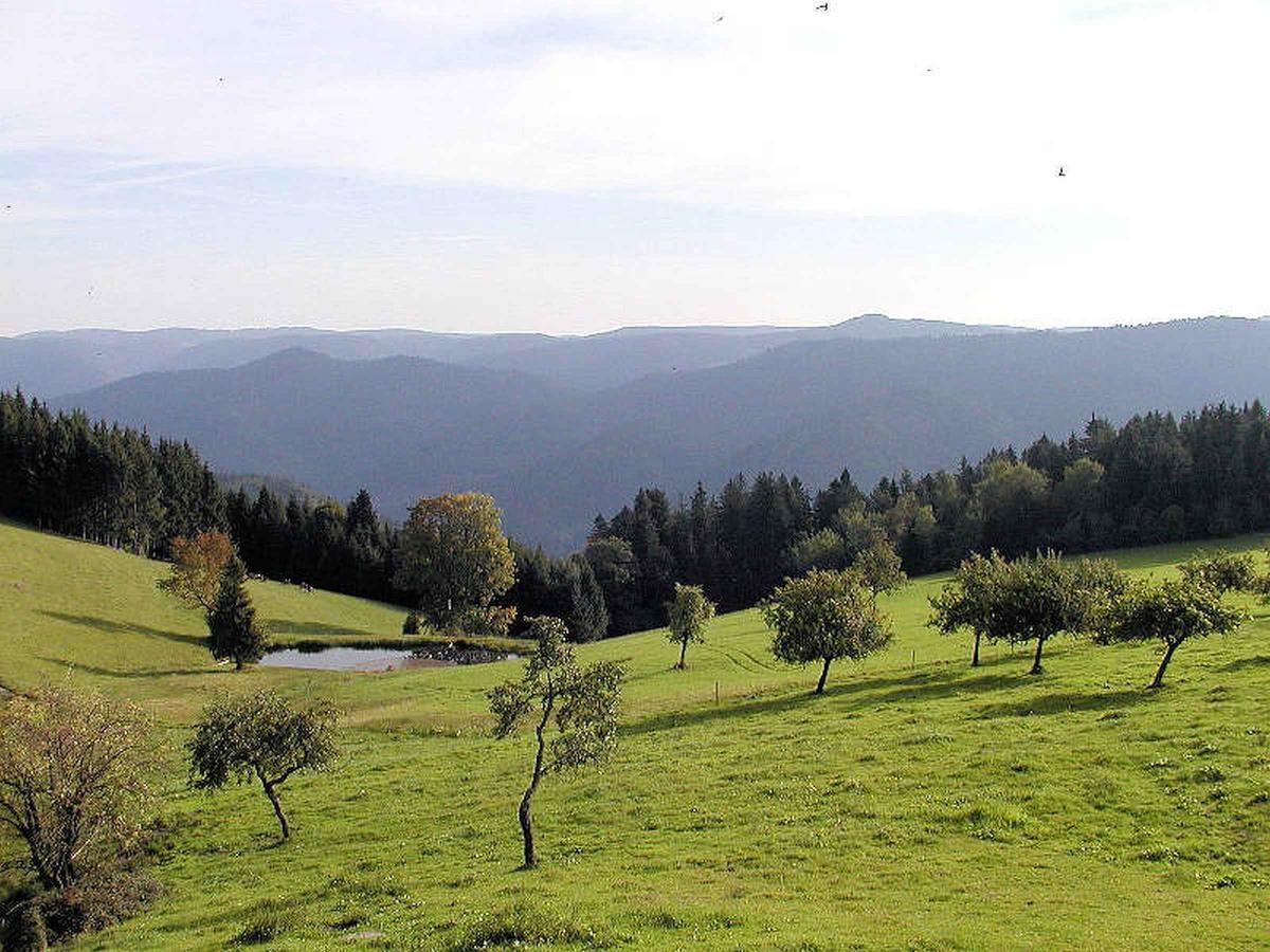 Schanzenberghof Хорнберг Екстериор снимка